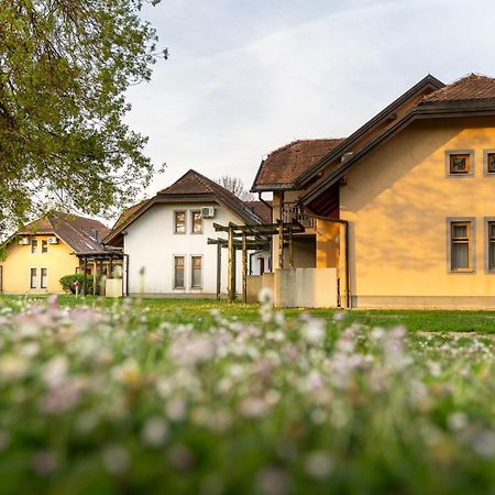 Terme Banovci - Hotelsko Naselje Zeleni Gaj Buitenkant foto