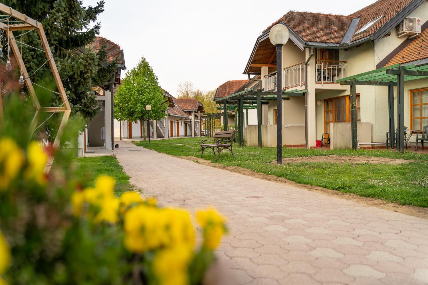 Terme Banovci - Hotelsko Naselje Zeleni Gaj Buitenkant foto