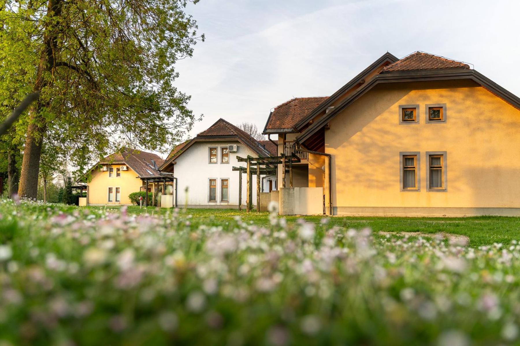 Terme Banovci - Hotelsko Naselje Zeleni Gaj Buitenkant foto